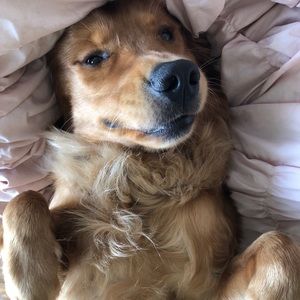 Meet your Posher, Grace